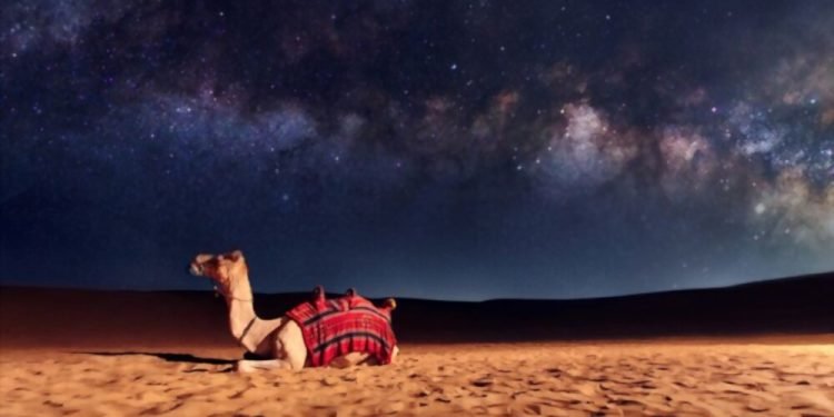 Dubai desert safari