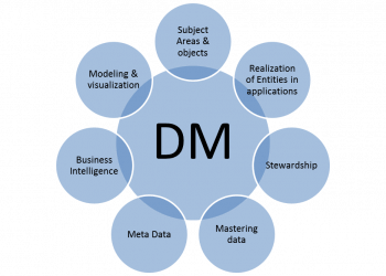 data management consultant