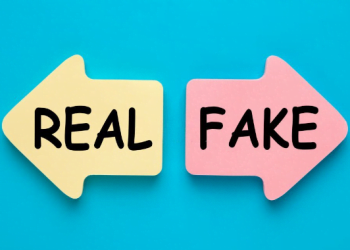 Real and Fake Instagram Views