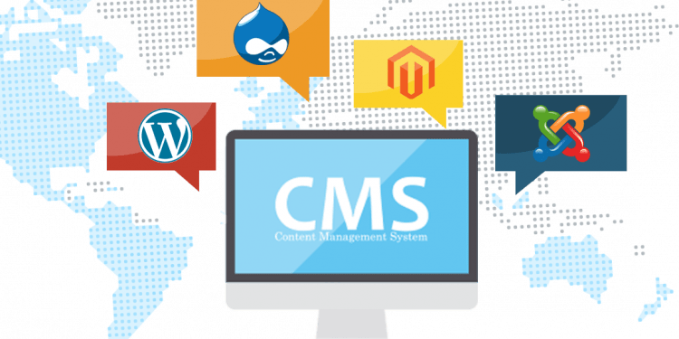 cms based websites