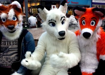 Furry questions you were afraid to ask