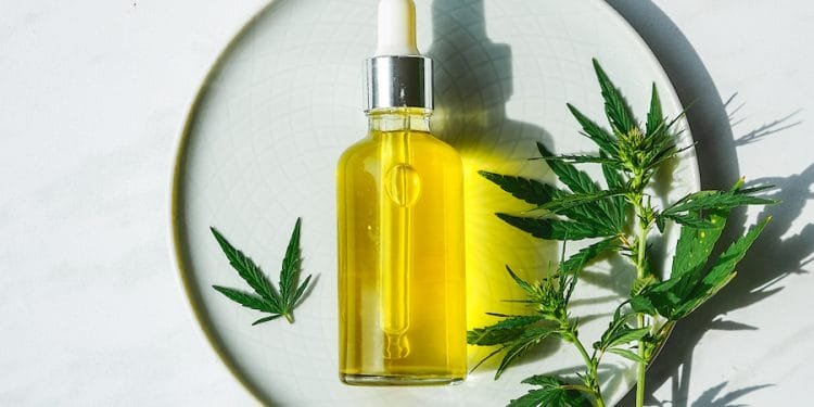 Things To Avoid With Your CBD