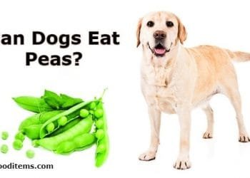 Can dogs eat peas