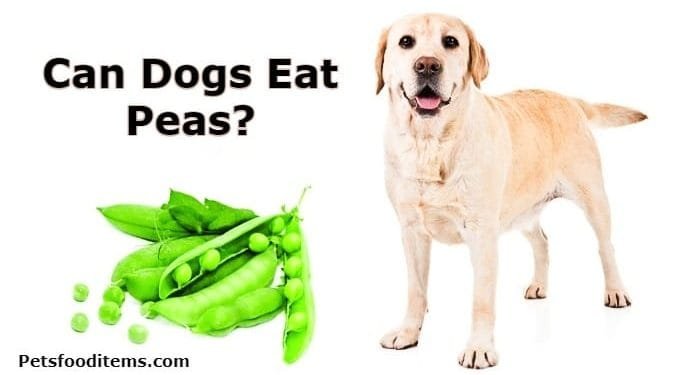 Can dogs eat peas