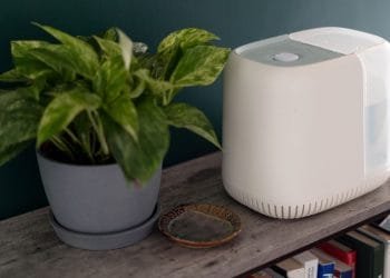 Best Whole House Humidifier Reviews and Guide