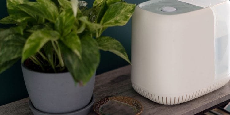 Best Whole House Humidifier Reviews and Guide