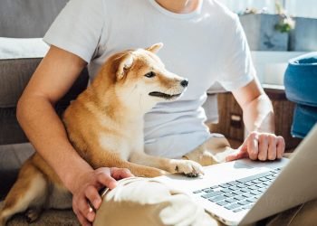 Register emotional support animals