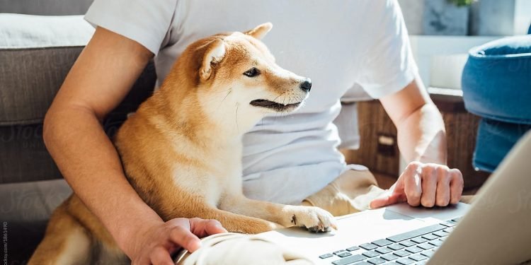 Register emotional support animals