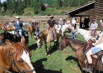 Pick-Up-Horse-Pitching