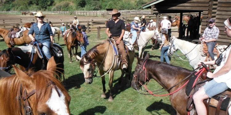 Pick-Up-Horse-Pitching