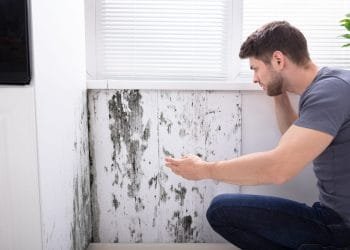 Claim for Housing Disrepair