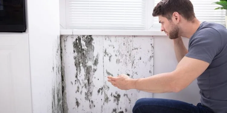 Claim for Housing Disrepair