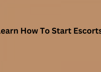 Learn How To Start Escorts