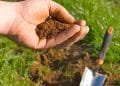 Soil Sampling