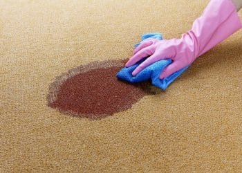 Remove Stains From Carpet