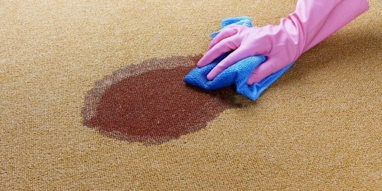 How to Remove Stains From Carpet - OVERINSIDER