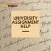 University Assignment Help