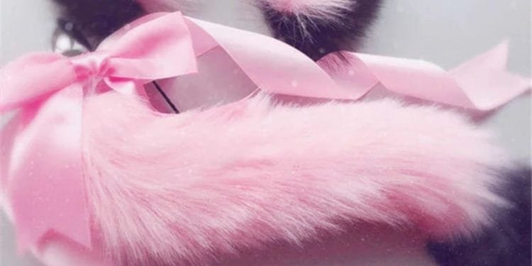 butt plug tail and ears