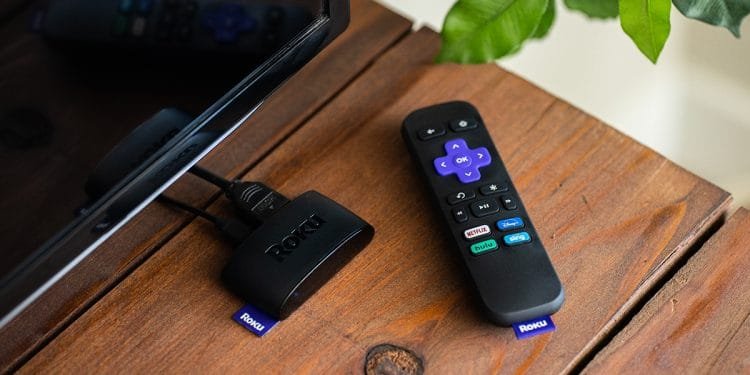 Remote Access Allows You to Control Your DVR