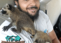 Dead Animal Removal: The Nasty Necessity For A Clean Home