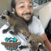 Dead Animal Removal: The Nasty Necessity For A Clean Home