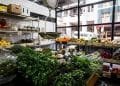 5 Easy Ways To Find Authentic Asian Grocery Stores And Restaurants In Australia