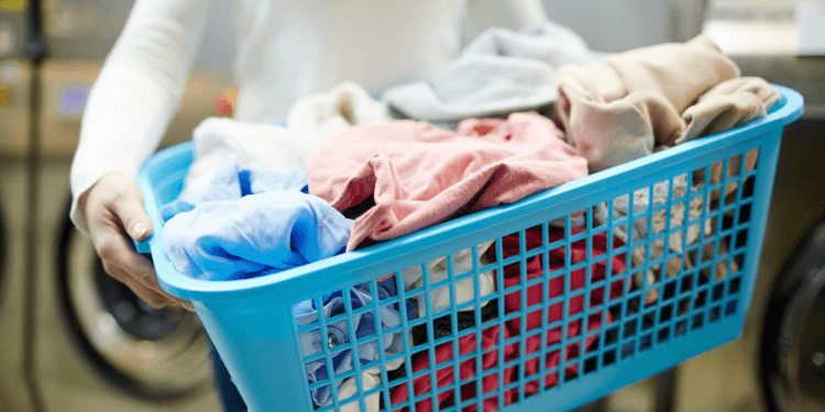 laundry service company