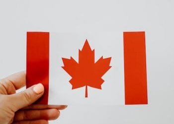 5 Qualities You Should Look for in Online Dispensaries in Canada