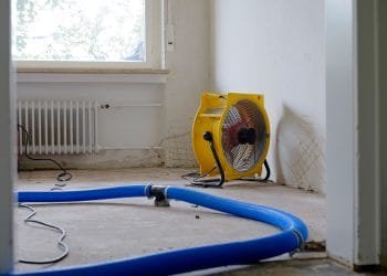 How to Dry Out Water Damage and Avoid Mold: An Expert’s Guide