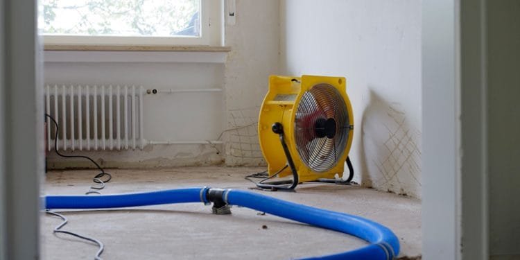 How to Dry Out Water Damage and Avoid Mold: An Expert’s Guide