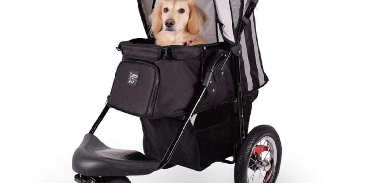 Pet Stroller