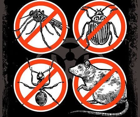 quality affordable pest control, affordable pest control, affordable exterminators, affordable quality, quality affordable pest control,bedbugpatrolcrew, residential pest control, toronto pest control, commercial pest control, commercial pest control prices