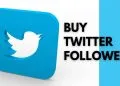 Buy Twitter Followers to Boost Your Social Media Presence