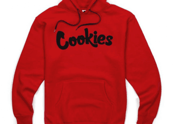 Introduce readers to the concept of Hoodie and what makes them unique