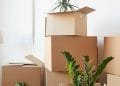 10 Reasons Why You Should Hire a Moving Company in Oakville