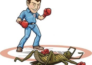 quality affordable pest control, affordable pest control, affordable exterminators, affordable quality, quality affordable pest control,bedbugpatrolcrew, residential pest control, toronto pest control, commercial pest control, commercial pest control prices