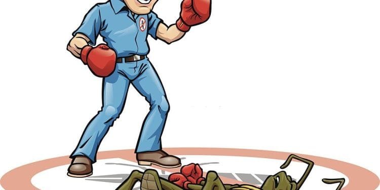 quality affordable pest control, affordable pest control, affordable exterminators, affordable quality, quality affordable pest control,bedbugpatrolcrew, residential pest control, toronto pest control, commercial pest control, commercial pest control prices