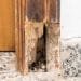 mold removal toronto, mold inspection services, mold remediation toronto, mould removal toronto, best mold removal