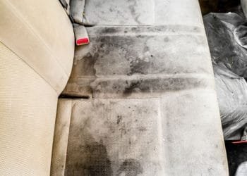mold removal toronto, mold inspection services, mold remediation toronto, mould removal toronto, best mold removal, how to remove mold from leather car seats