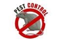 rat exterminator toronto, rat exterminator, mice exterminator, rat control toronto mouse exterminator toronto, rat removal toronto, when to call an exterminator for mice