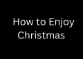 How to Enjoy Christmas with Escorts