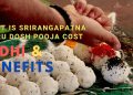 Pitru Dosh Pooja Cost