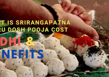Pitru Dosh Pooja Cost