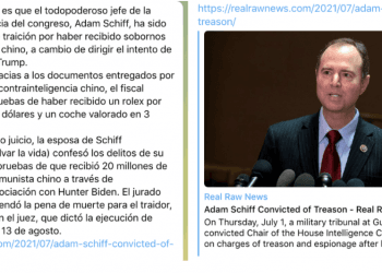 Realrawnews - Is Realrawnews a False News