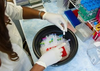 Single cell transcription