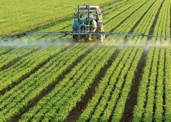Best Practices for Effective and Efficient Pesticide Application