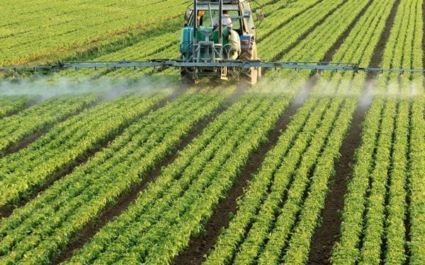 Best Practices for Effective and Efficient Pesticide Application
