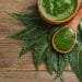The Ayurvedic Advantages of Neem
