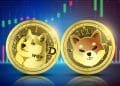 wallet for Dogecoin