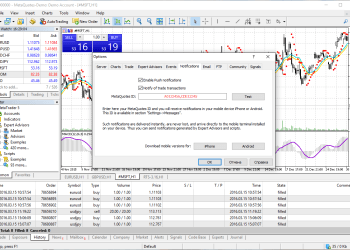 Trade With The Best MT5 Brokers To Win